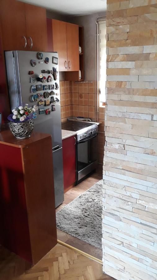 Apartment Niva Zlatibor Dış mekan fotoğraf