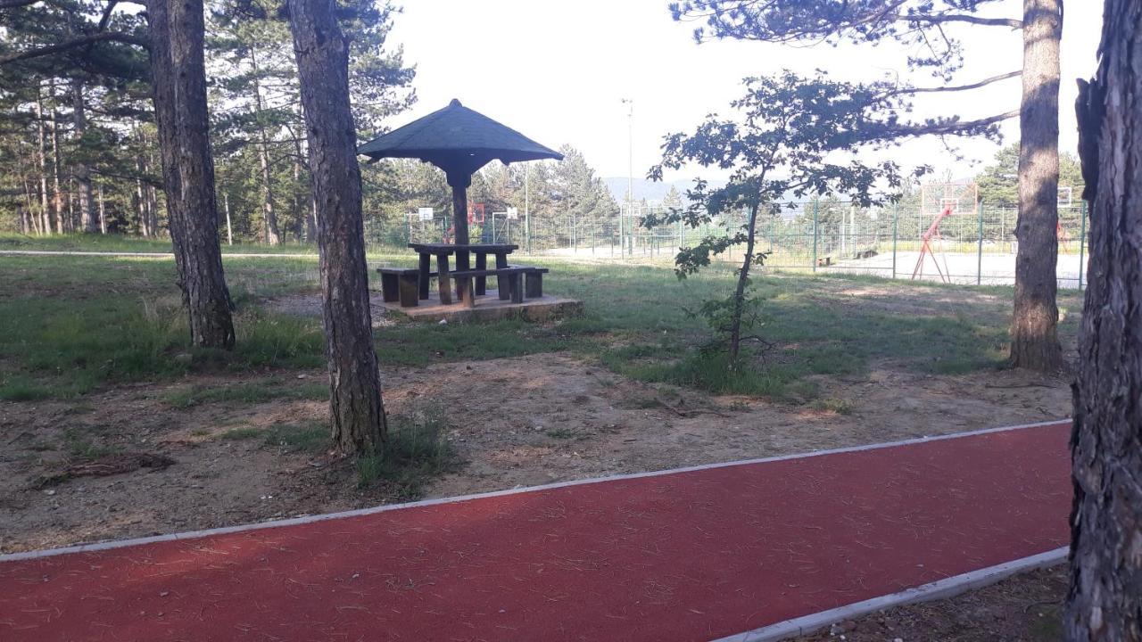 Apartment Niva Zlatibor Dış mekan fotoğraf