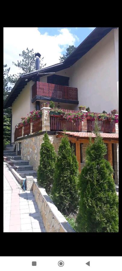 Apartment Niva Zlatibor Dış mekan fotoğraf