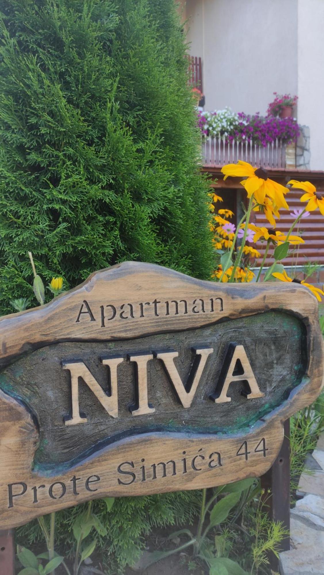 Apartment Niva Zlatibor Dış mekan fotoğraf
